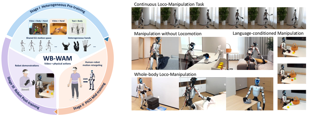 WB-WAM：面向人形 loco-manipulation 的异构身体-手部预训练