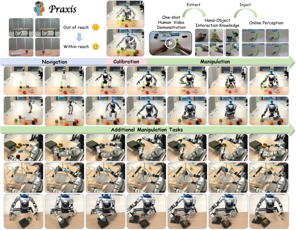 Praxis：从第一视角视频中蒸馏物理交互先验实现全身操作